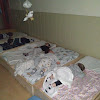 Llar D'infants Petit Montessori